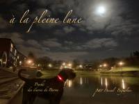 BIGNOLAIS PASCAL - STUDIO NOMADE